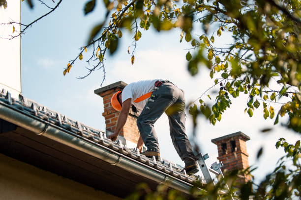 Best Metal Roofing Contractor  in Minnehaha, WA