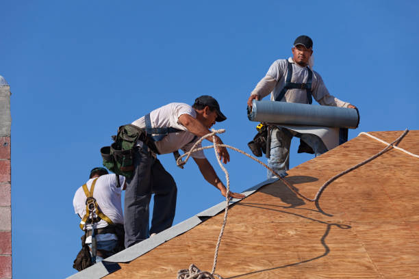 Best Commercial Roofing Services  in Minnehaha, WA
