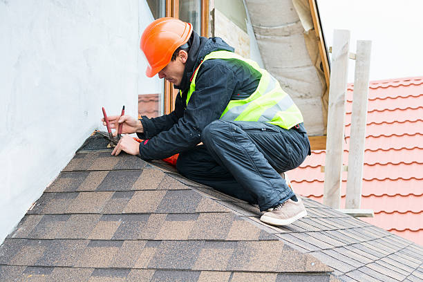 Best Sealant for Roof  in Minnehaha, WA